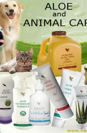 ALOE FORMULE VÉTÉRINAIRE